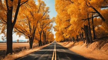 in viaggio il strada di giallo e arancia autunno le foglie. generativo ai foto