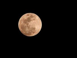 Luna avvicinamento mostrando il dettaglio di il lunare eclisse. nero sfondo. foto
