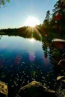 il sole è splendente al di sopra di un' lago nel il foresta foto