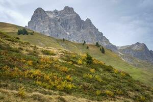 escursionismo, Widderstein, Hochtannberg, Alpi, Austria foto