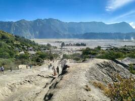 foto alcuni scalatori provare per scalata montare bromo attraverso il sentiero lungo il ex lava versare quello ha secco su e alcuni siamo equitazione cavalli.