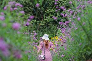 un' bellissimo femmina turista è avendo divertimento nel un' fiore giardino quello è fioritura nel il inverno di chiang Mai Provincia e femmina turisti anche piace per prendere fotografie dentro il bellissimo fiore giardino.