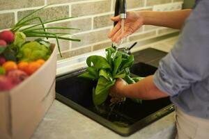 avvicinamento Visualizza di donna di mani lavaggio fresco biologico spinaci le foglie sotto fluente acqua nel il cucina lavello. foto