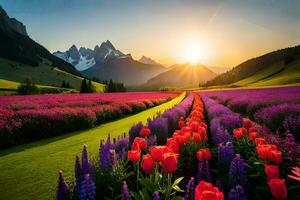 il sole sorge al di sopra di un' campo di viola fiori e tulipani. ai-generato foto