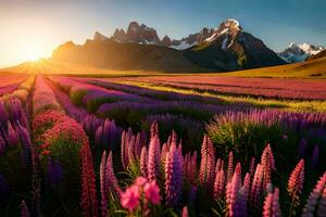 il sole sorge al di sopra di un' campo di viola fiori e montagne. ai-generato foto