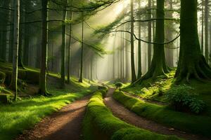 un' sentiero attraverso un' foresta con alberi e muschio. ai-generato foto