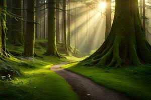 un' sentiero attraverso un' foresta con luce del sole splendente attraverso il alberi. ai-generato foto