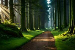 un' sentiero attraverso un' foresta con alberi e raggi di sole. ai-generato foto