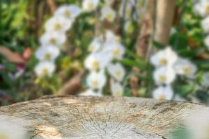 vuoto vecchio albero ceppo tavolo superiore con sfocatura orchidea giardino sfondo per Prodotto Schermo foto