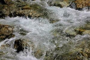 acqua affrettandosi al di sopra di rocce nel un' ruscello foto