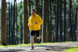 asiatico pista corridore è in esecuzione all'aperto nel il pino foresta sporco strada per esercizio e allenarsi attività formazione per gara nel ultra maratona per raggiungere salutare stile di vita e fitness foto