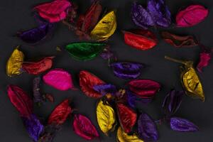 multicolore asciutto petali su un' nero sfondo. foto