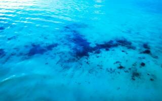 onde a tropicale spiaggia caraibico mare chiaro turchese acqua Messico. foto