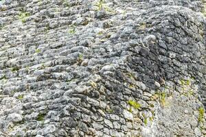 coba maya rovine nohoch mul piramide nel tropicale giungla Messico. foto