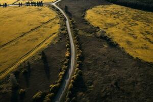 aereo Visualizza di un' strada nel il mezzo di un' giallo campo, strada nel il campagna di waikato aereo fuco Visualizza, ai generato foto