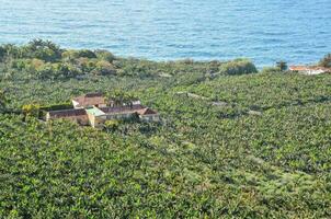 un' Casa nel un' lussureggiante verde campo foto