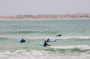 Surf scuole nel baleale isola, Portogallo foto