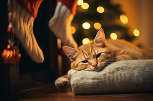 gattino dorme sotto il Natale albero. generativo ai foto