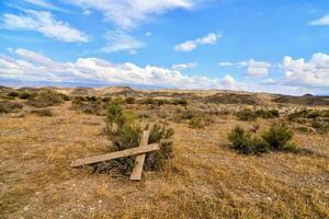 un' morto albero nel il deserto con blu cielo e nuvole foto