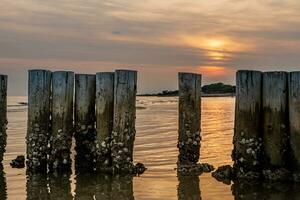 palizzata su il riva del mare foto