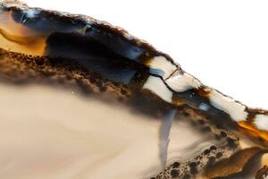 macro minerale pietra giallo, Marrone agata razza un' bianca sfondo foto