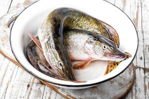 pesce luccio su il cucina tavola foto