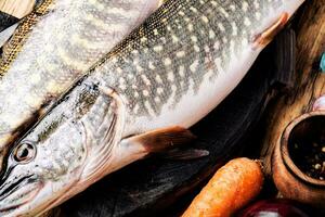 pesce luccio su il cucina tavola foto