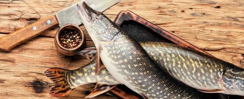 pesce luccio su il cucina tavola foto