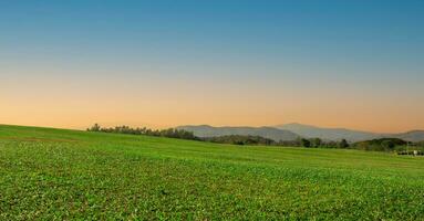 sfondo Immagine di verde erba campo a tramonto cielo foto