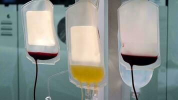 sangue Borsa donazione centro, trasfusione concetto, salvavita ospedale procedura, medico fornitura nel emergenza situazione foto