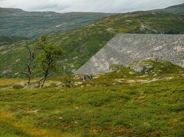 estate tempo nel Norvegia foto