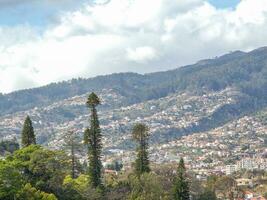 primavera tempo nel funchal Madera foto