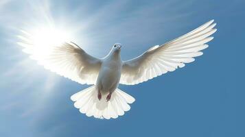 bianca colombe e luminosa luci nel il cielo come un' pace e spirituale simbolo di cristiano le persone. santo spirito simbolo. ai generato foto