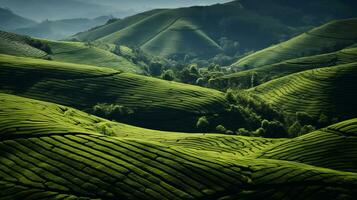 ai generato verde tè piantagione, superiore Visualizza struttura foto