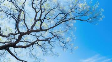 ai generato natura pianta blu all'aperto sognante ai generato foto