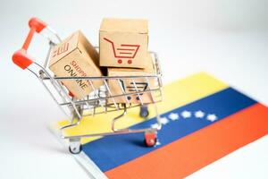scatola con shopping in linea carrello logo e nord Venezuela bandiera, importare esportare commercio finanza consegna commercio. foto