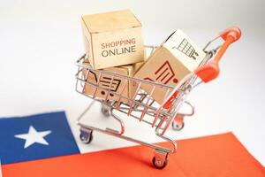 scatola con shopping in linea carrello logo e nord chile bandiera, importare esportare commercio finanza consegna commercio. foto