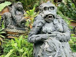 pietra scimmie statue nel sacro scimmia foresta. vecchio decorativo scimmia sculture nel bali ubud sacro foresta foto