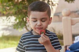 un' poco ragazzo mangiare fragole. estate cibo. un' giovane ragazzo mangia un' delizioso fragola nel caldo estate giorno foto