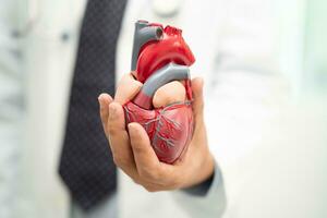 cardiovascolare malattia CV, asiatico medico Tenere umano anatomia modello per imparare e trattare cuore patologia. foto