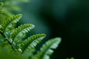 verde felce foglie, selettivo messa a fuoco contro verde bokeh giardino sfondo, con copia spazio. generativo ai. foto