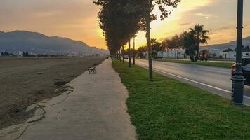 scoprire il affascinante paesaggio fra il strada e il sterile deserto foto