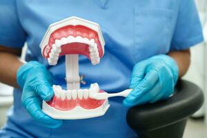 medico pulito denti dentiera con spazzolino per insegnare paziente e dentista studiando di odontoiatria. foto