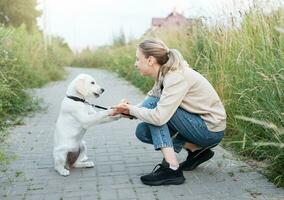 cucciolo labrador cane da riporto e giovane ragazza foto