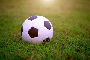 calcio calcio a verde campo nel stadio prima il incontro foto