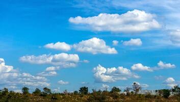 paesaggio e Perfetto cielo con molti cumulo nube foto