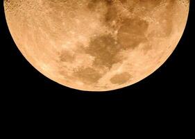 fase di il giallo Luna foto