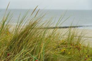 wangerooge isola nel Germania foto