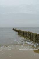 wangerooge isola nel Germania foto