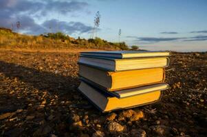 pila di libri su il spiaggia foto